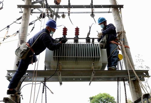 國網福安市供電公司 更換老舊綜配箱，筑牢漁民新村用電安全網
