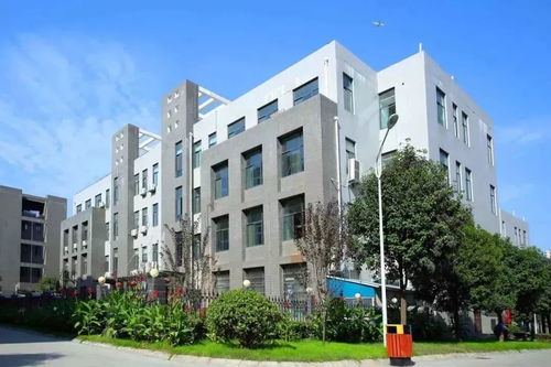 大勢起，觀未來——原創(chuàng)女裝品牌“銘鴻一族”與箱包風(fēng)尚推薦